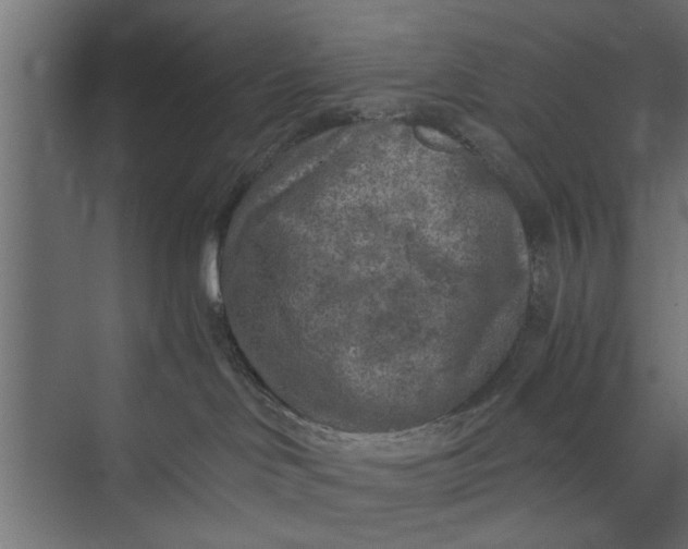 X0000073840046200608241028