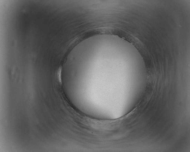 X0000073840047200608241028