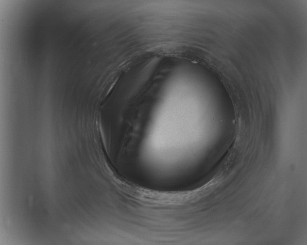 X0000073840048200608241028