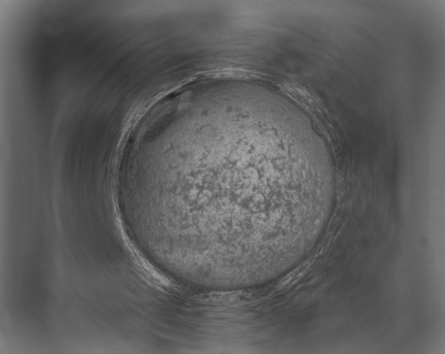 X0000073840049200608241027