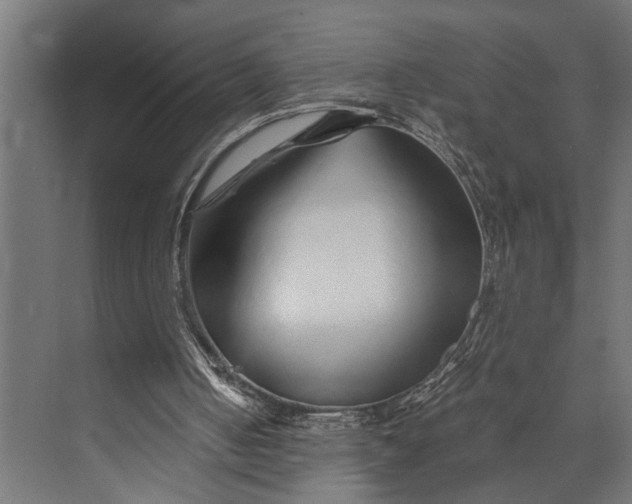 X0000073840050200608241027