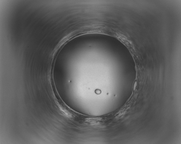 X0000073840051200608241027