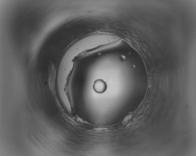 X0000073840052200608241027