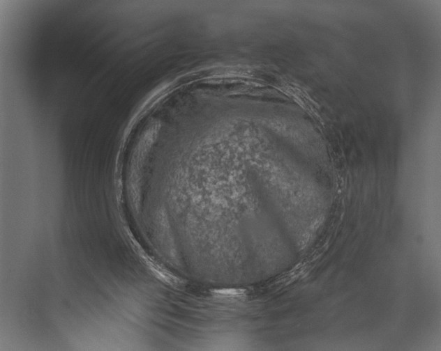 X0000073840053200608241027