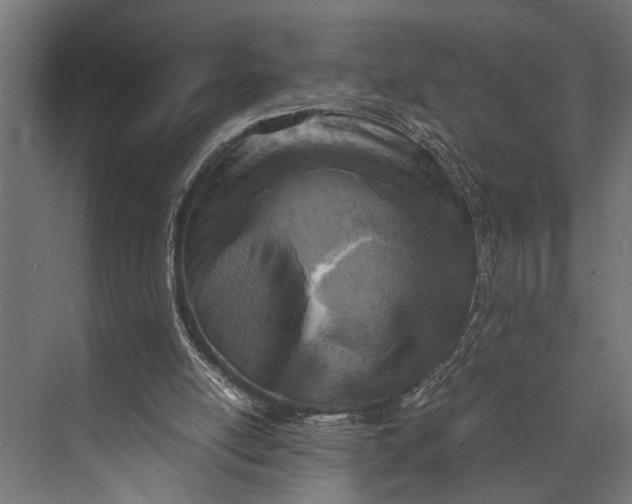 X0000073840054200608241027