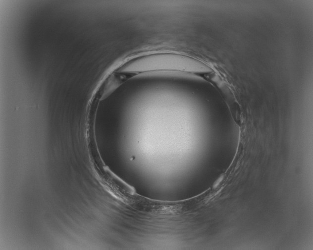 X0000073840056200608241027