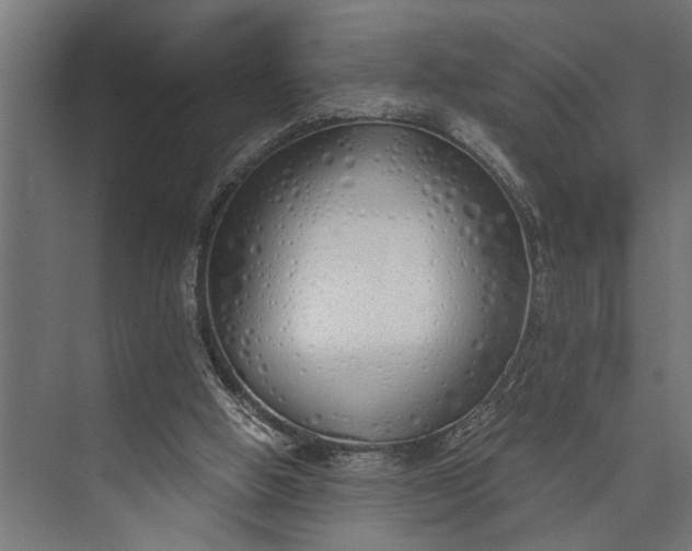 X0000073840058200608241027