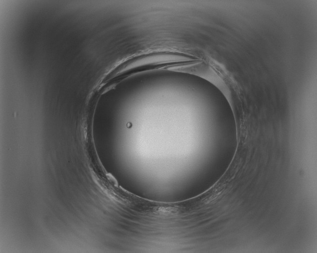 X0000073840060200608241027