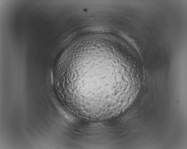 X0000073840061200608241027