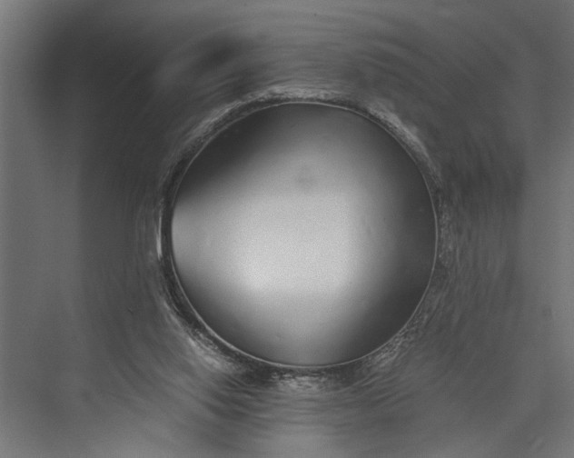 X0000073840062200608241027