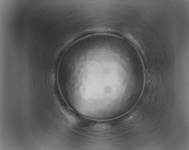 X0000073840063200608241027