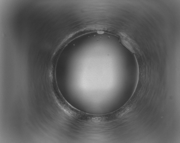 X0000073840064200608241027