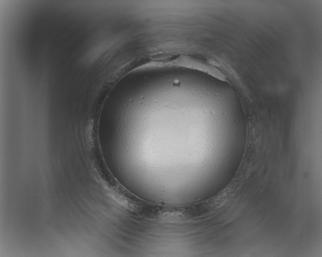 X0000073840066200608241027