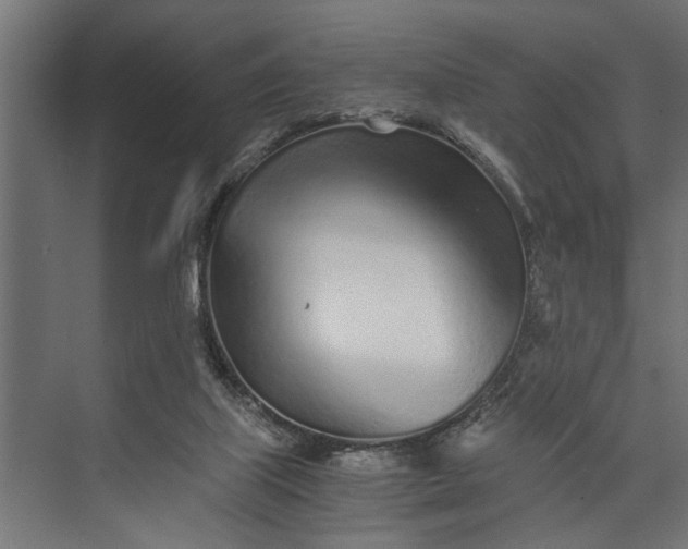 X0000073840067200608241027