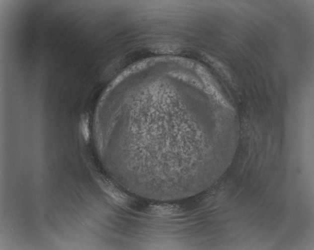 X0000073840069200608241027