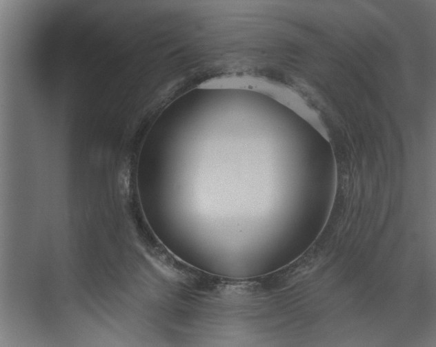 X0000073840072200608241028