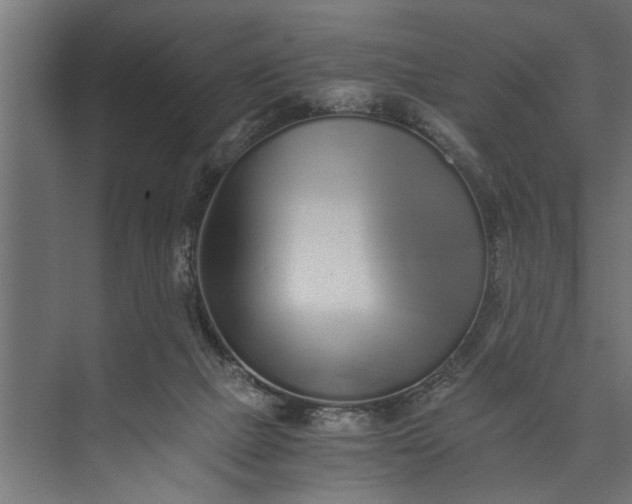 X0000073840073200608241028