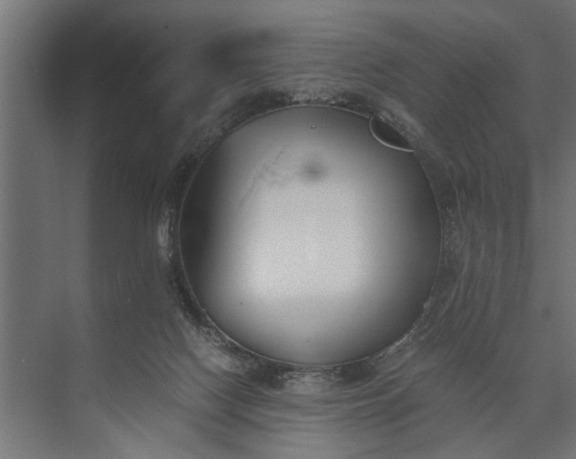 X0000073840074200608241028