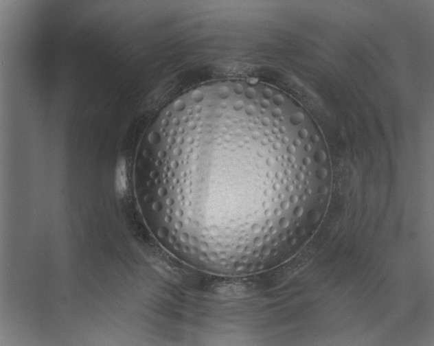 X0000073840075200608241028