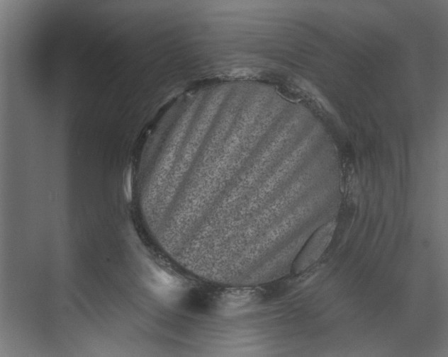 X0000073840076200608241028