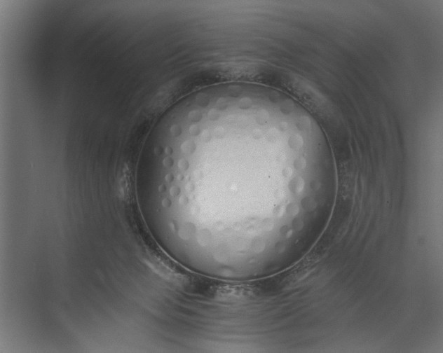 X0000073840077200608241028