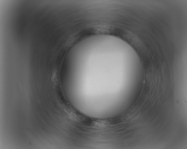 X0000073840079200608241028