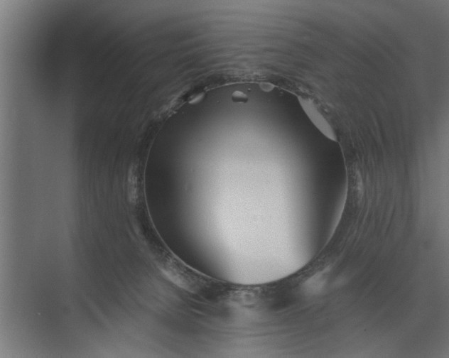 X0000073840080200608241028