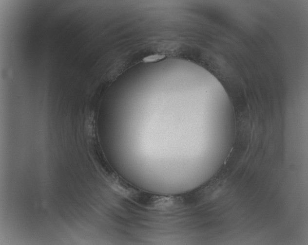 X0000073840083200608241028