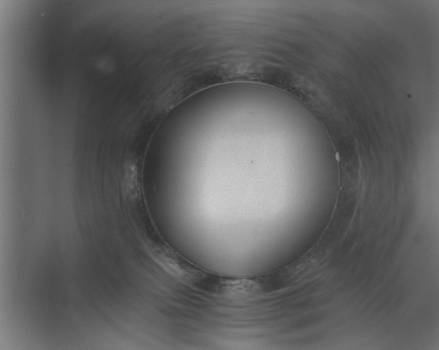 X0000073840087200608241028