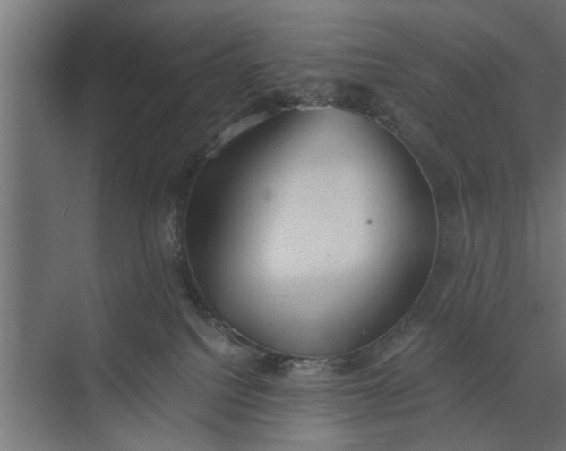 X0000073840088200608241028