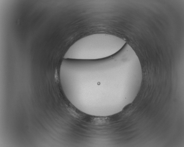 X0000073840089200608241028