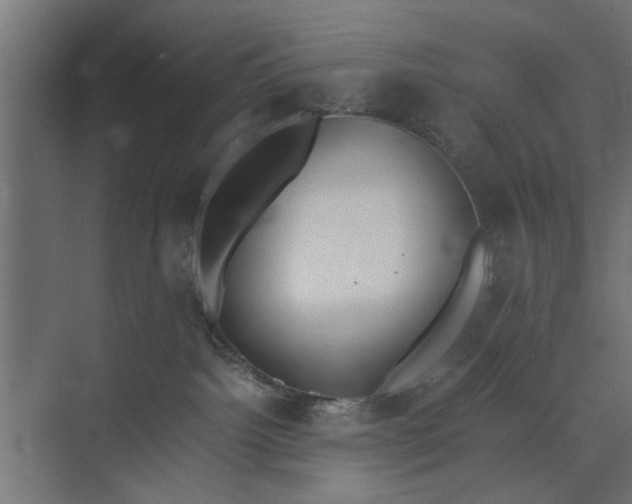 X0000073840092200608241028