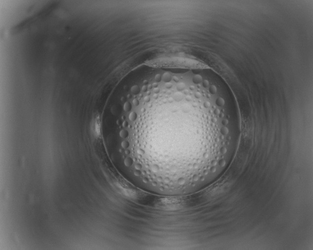 X0000073840095200608241028