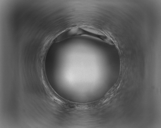 X0000073840097200608241027