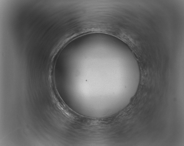 X0000073840098200608241027