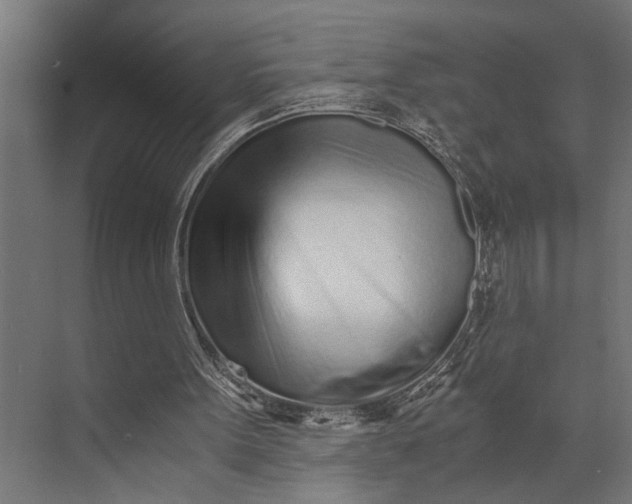 X0000073840099200608241027