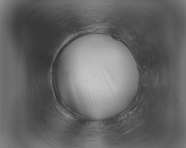 X0000073840100200608241027