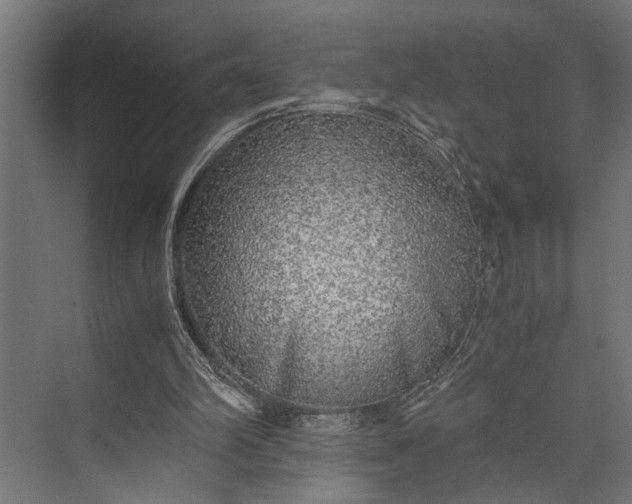 X0000073840102200608241027