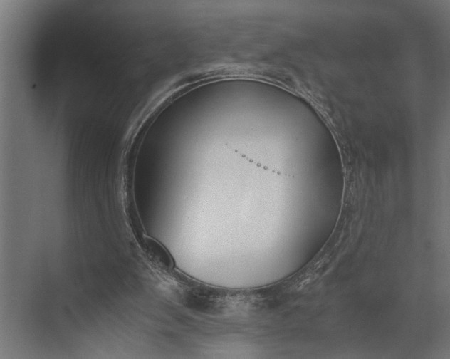 X0000073840103200608241027