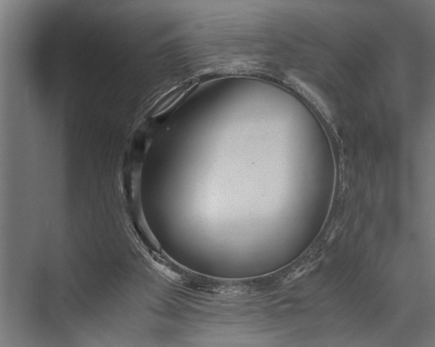 X0000073840105200608241027