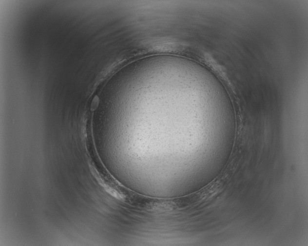 X0000073840106200608241027