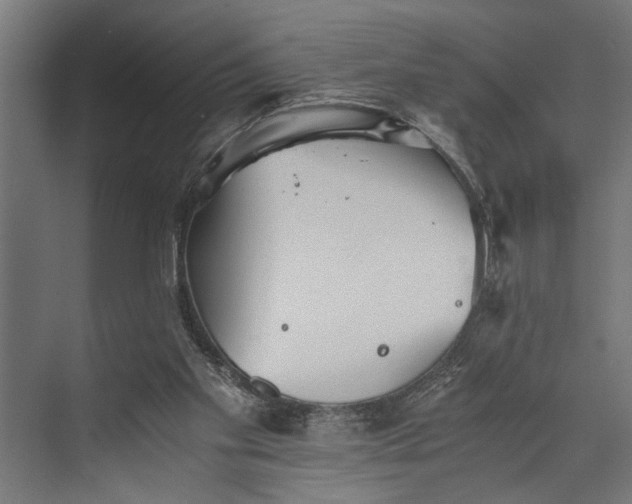 X0000073840109200608241027