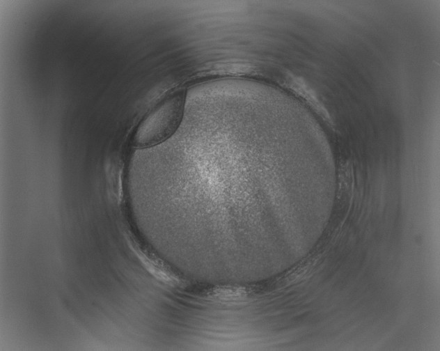 X0000073840110200608241027