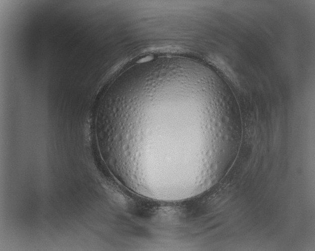 X0000073840111200608241027