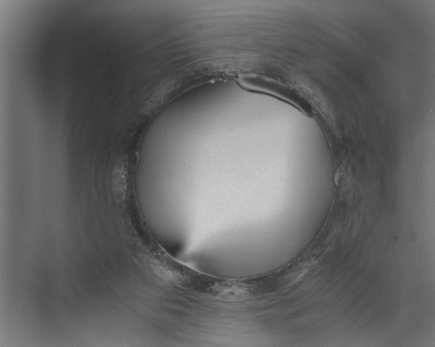 X0000073840113200608241027