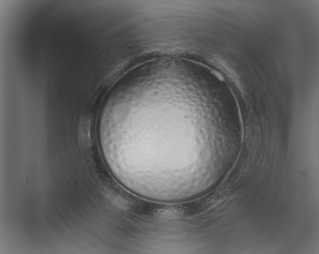 X0000073840115200608241027