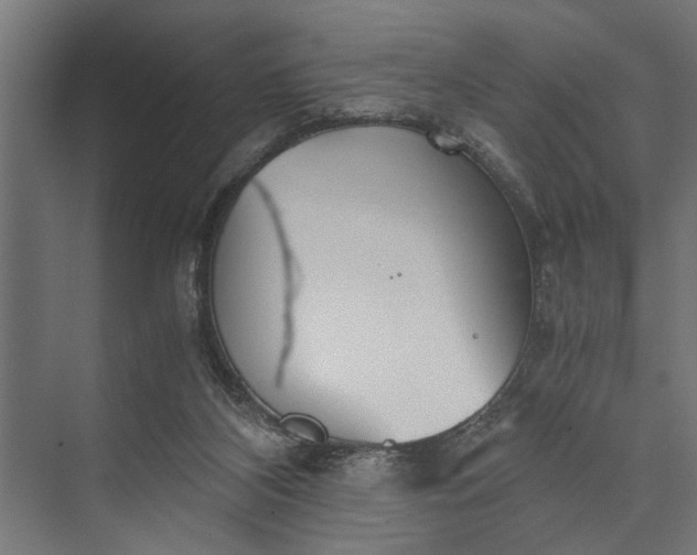 X0000073840116200608241027