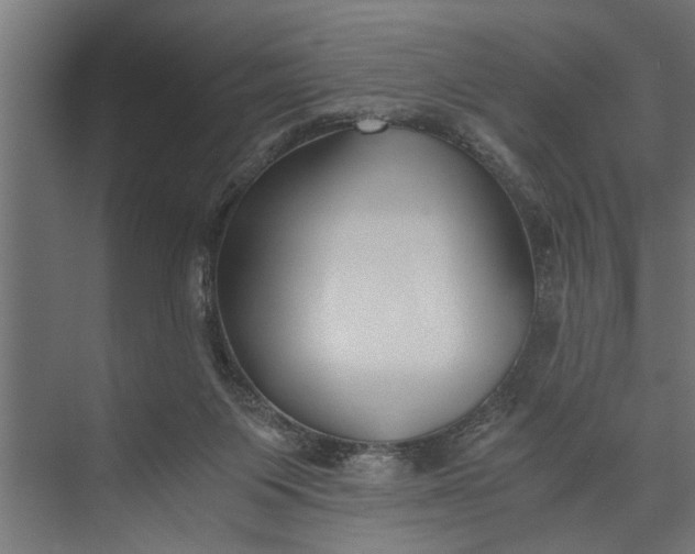 X0000073840119200608241027