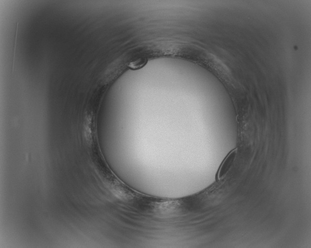 X0000073840122200608241027