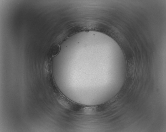 X0000073840126200608241027